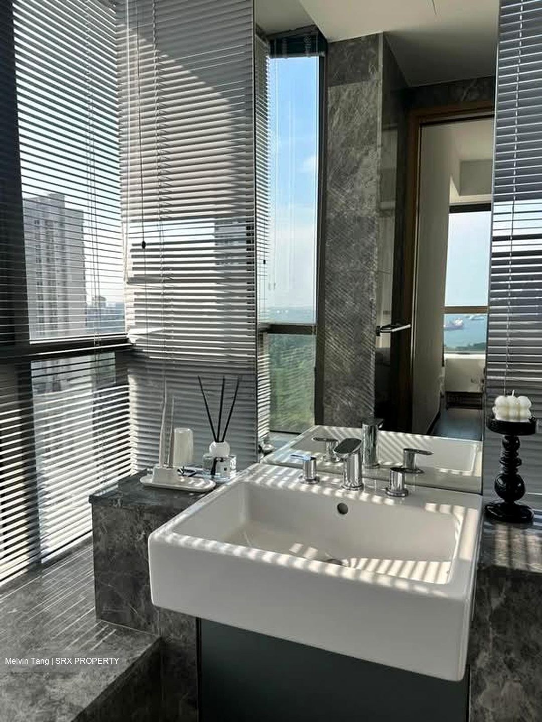 Skyline Residences (D4), Condominium #584969801